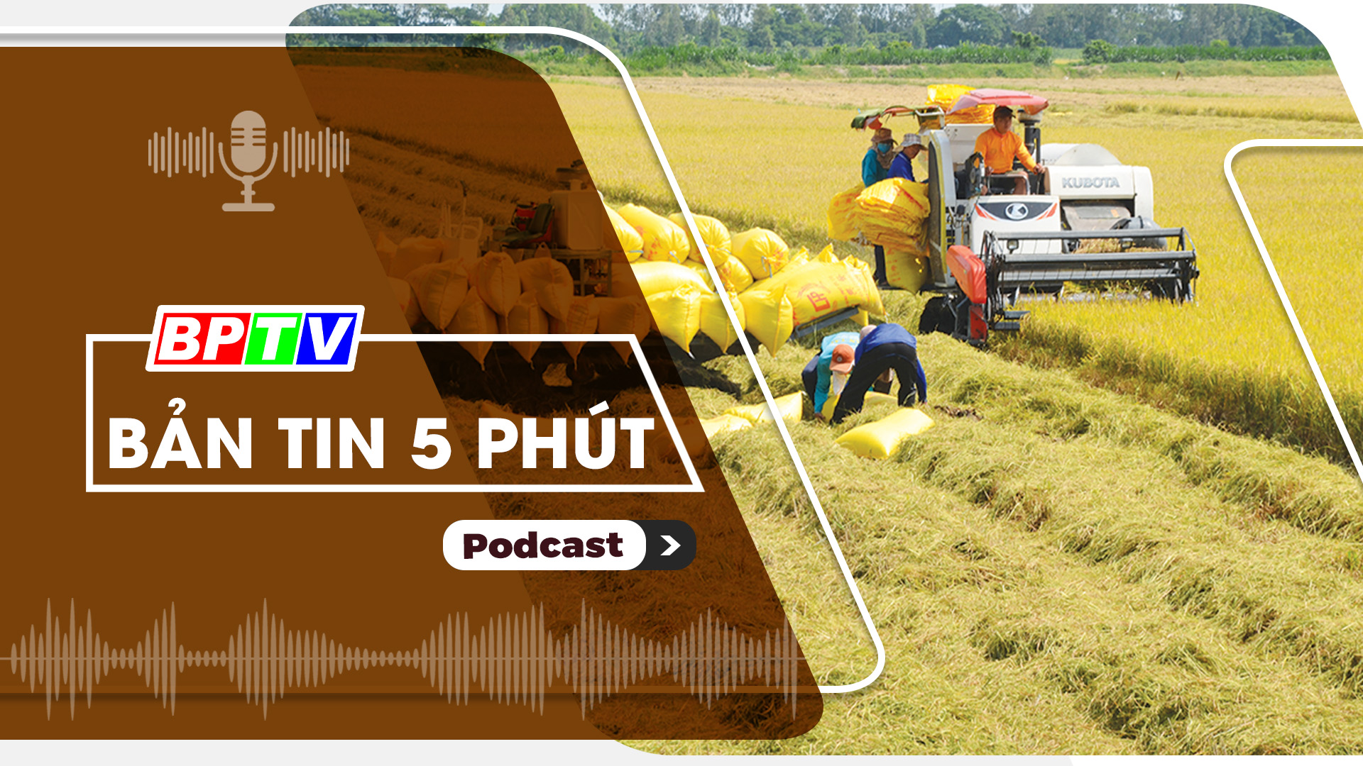5 phút tối nay 18-10-2024