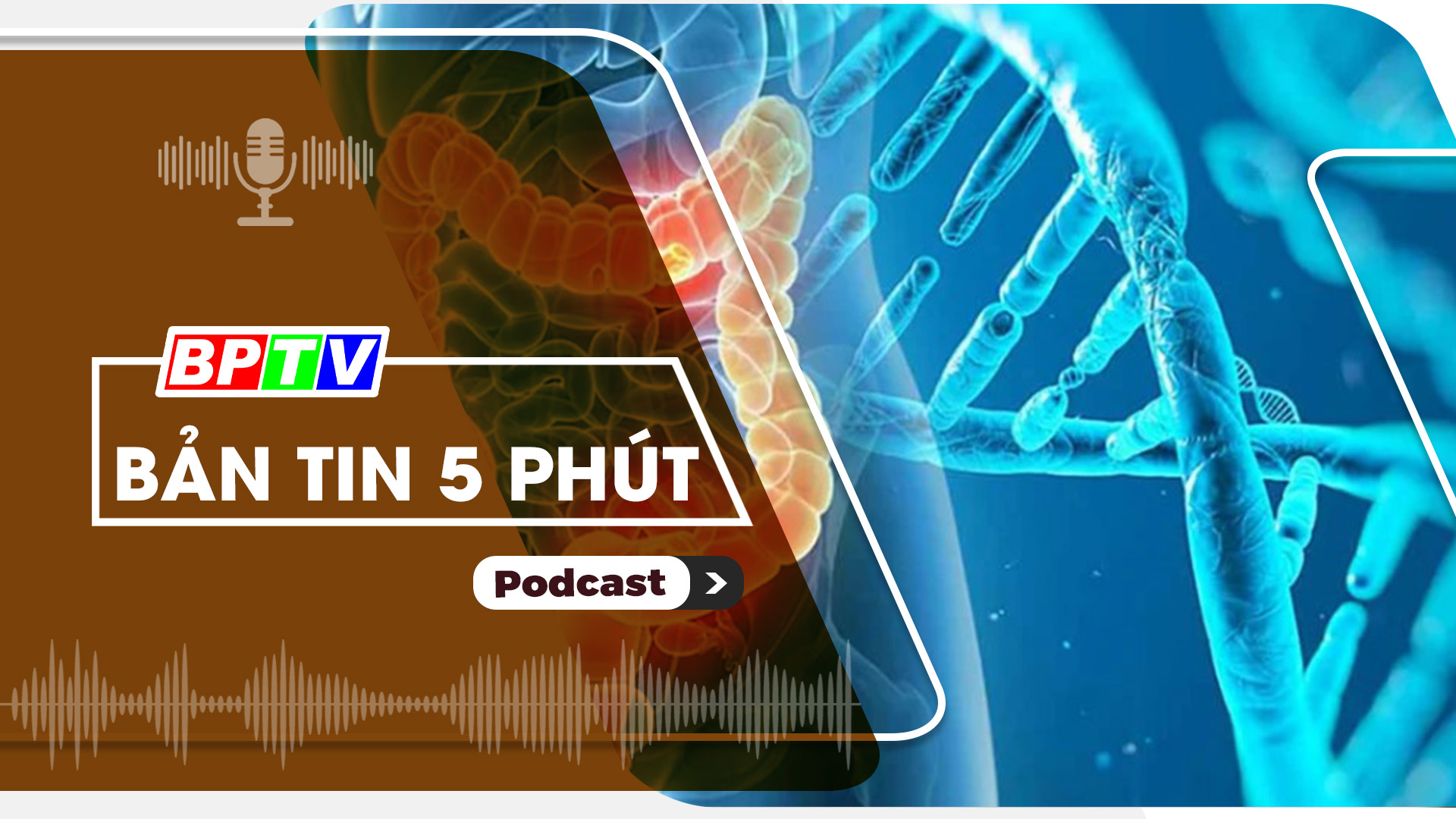5 phút tối nay 20-10-2024