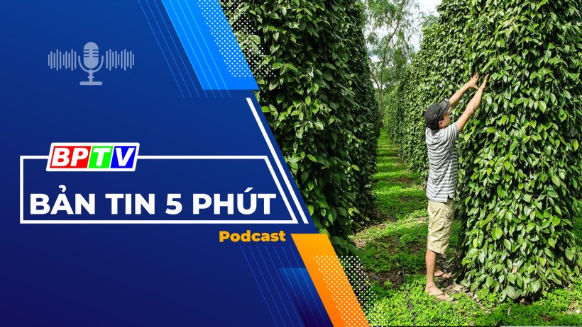 5 phút tối nay 24-1-2024