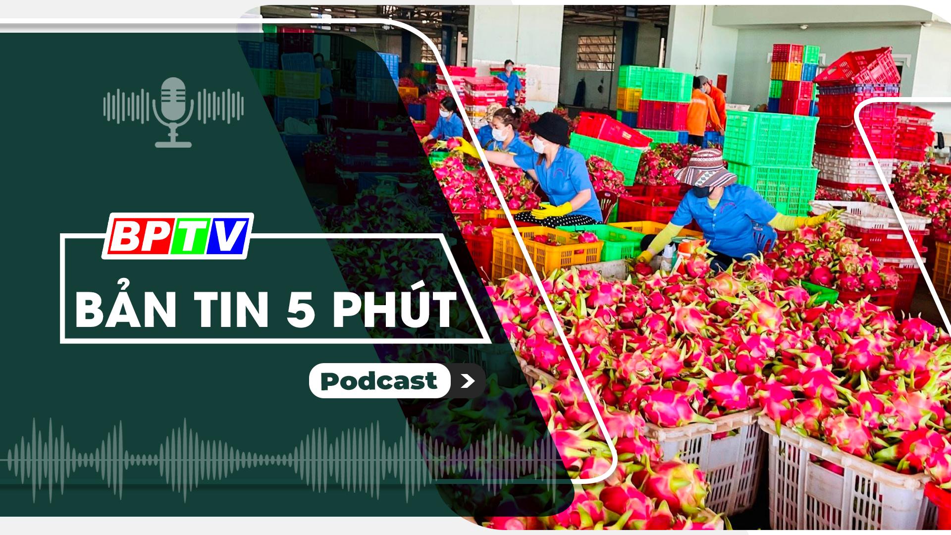 5 phút tối nay 25-6-2024
