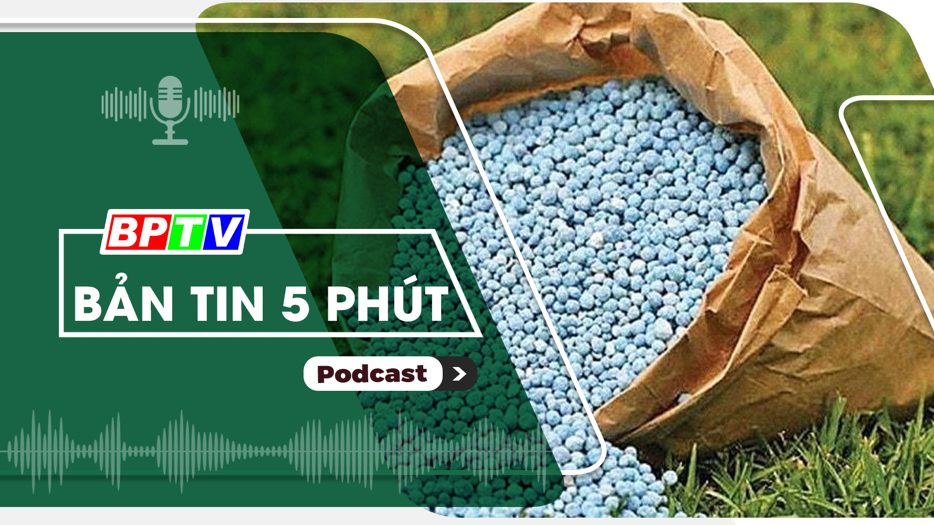 5 phút tối nay 27-11-2024 5 phút tối nay 27-11-2024