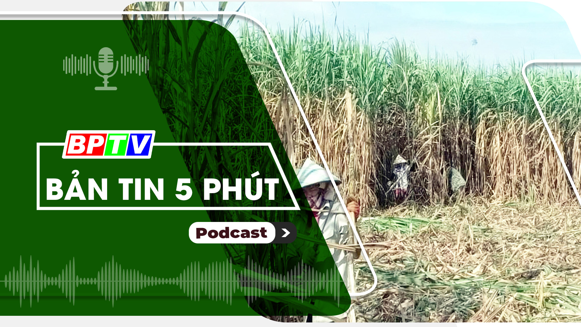 5 phút tối nay 29-9-2024