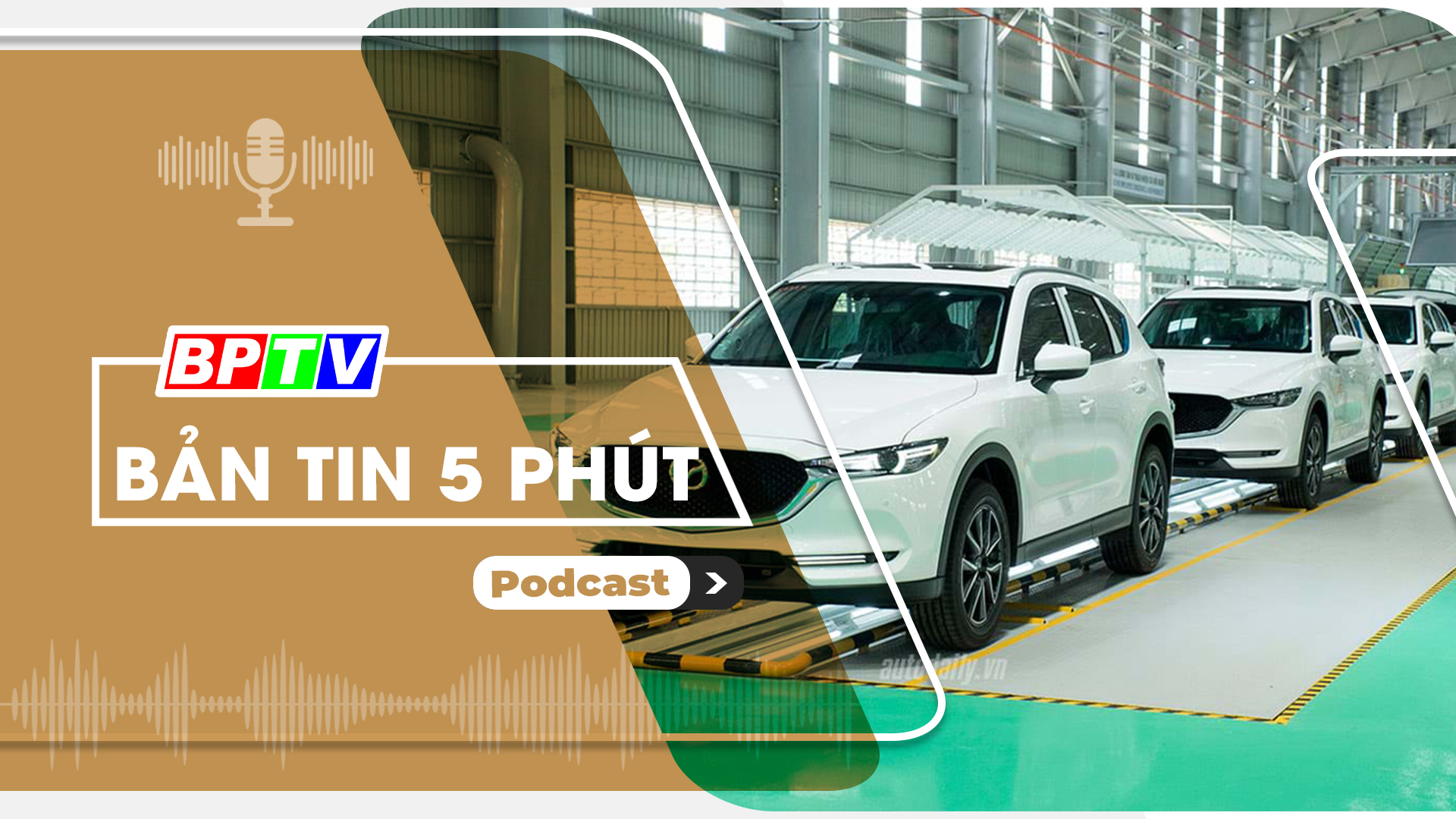5 phút tối nay 30-8-2024