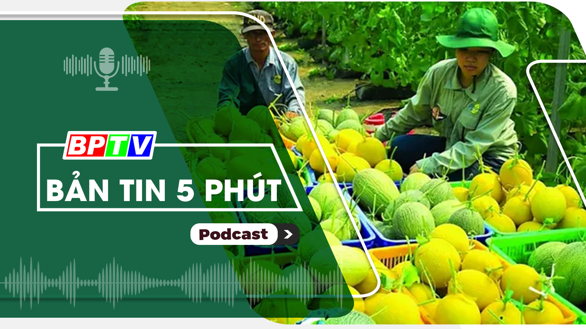 5 phút tối nay 31-12-2024