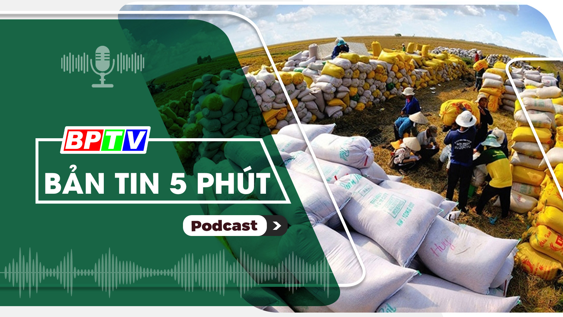 5 phút tối nay 3-11-2024