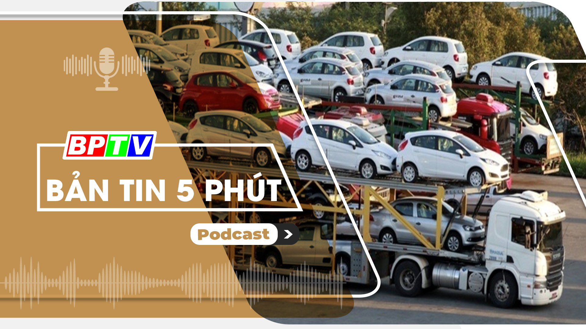5 phút tối nay 3-8-2024