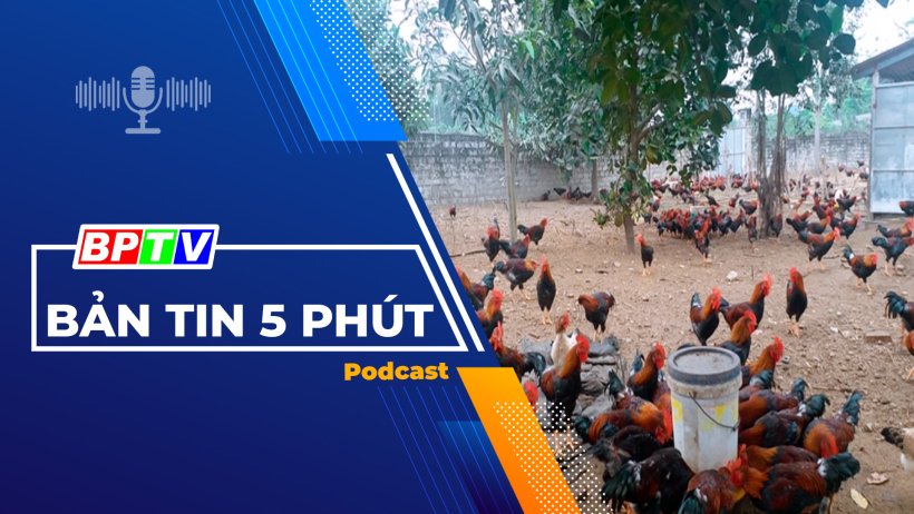 5 phút tối nay 4-3-2024