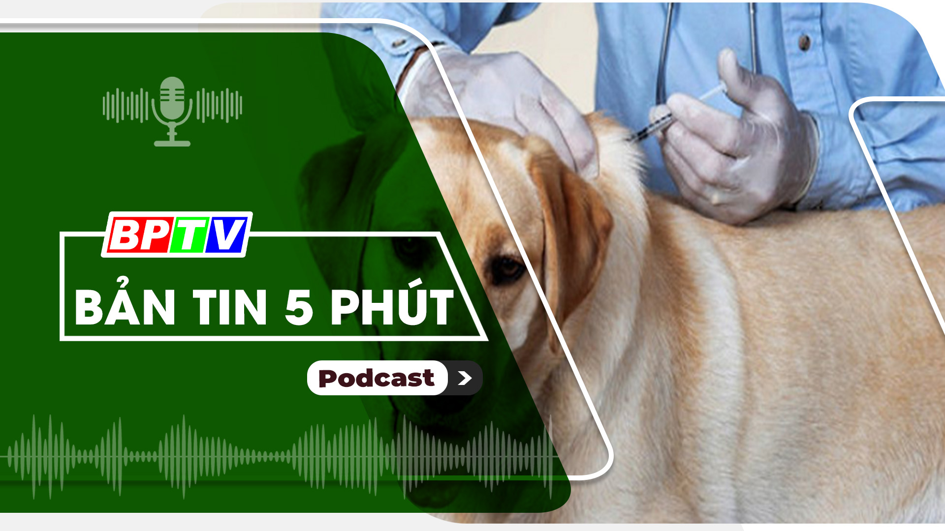 5 phút tối nay 4-9-2024