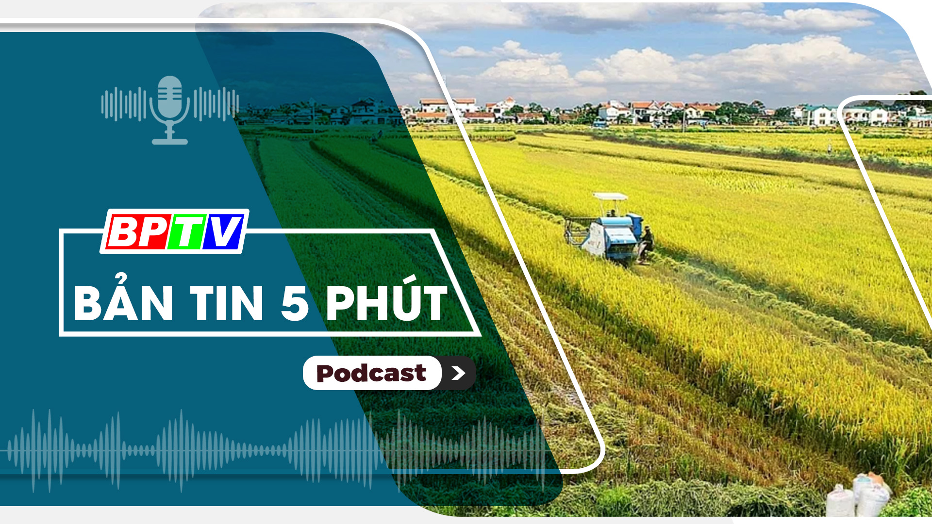 5 phút tối nay 5-2-2025 5 phút tối nay 5-2-2025