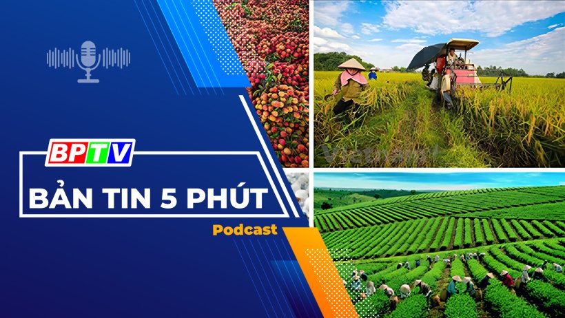 5 phút tối nay 7-1-2024