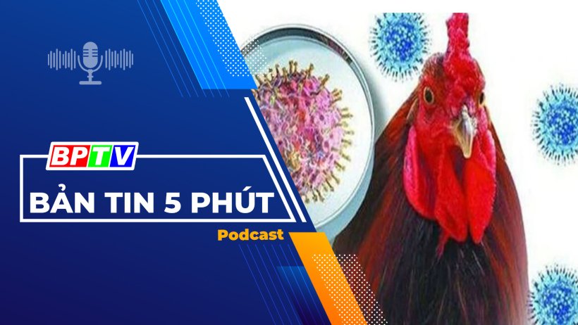 5 phút tối nay 7-4-2024