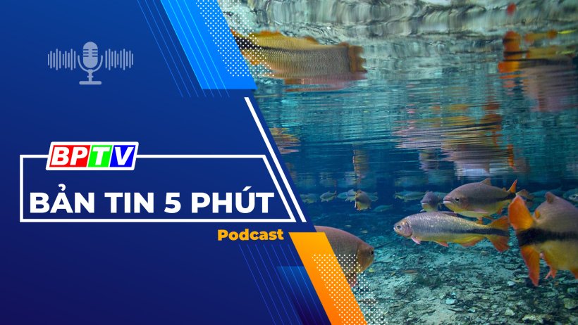 5 phút tối nay 9-3-2024
