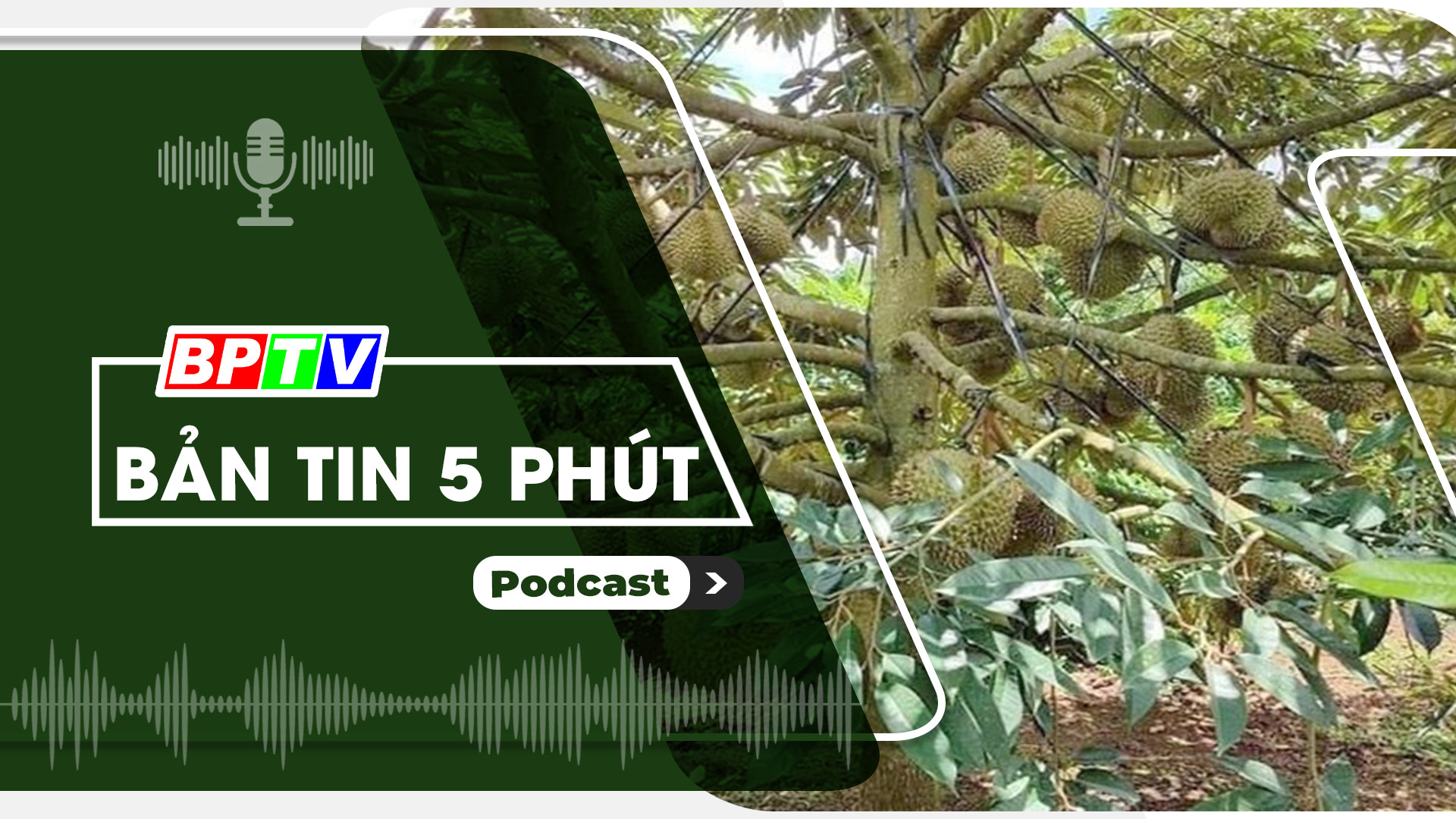 5 phút trưa nay 11-5-2024
