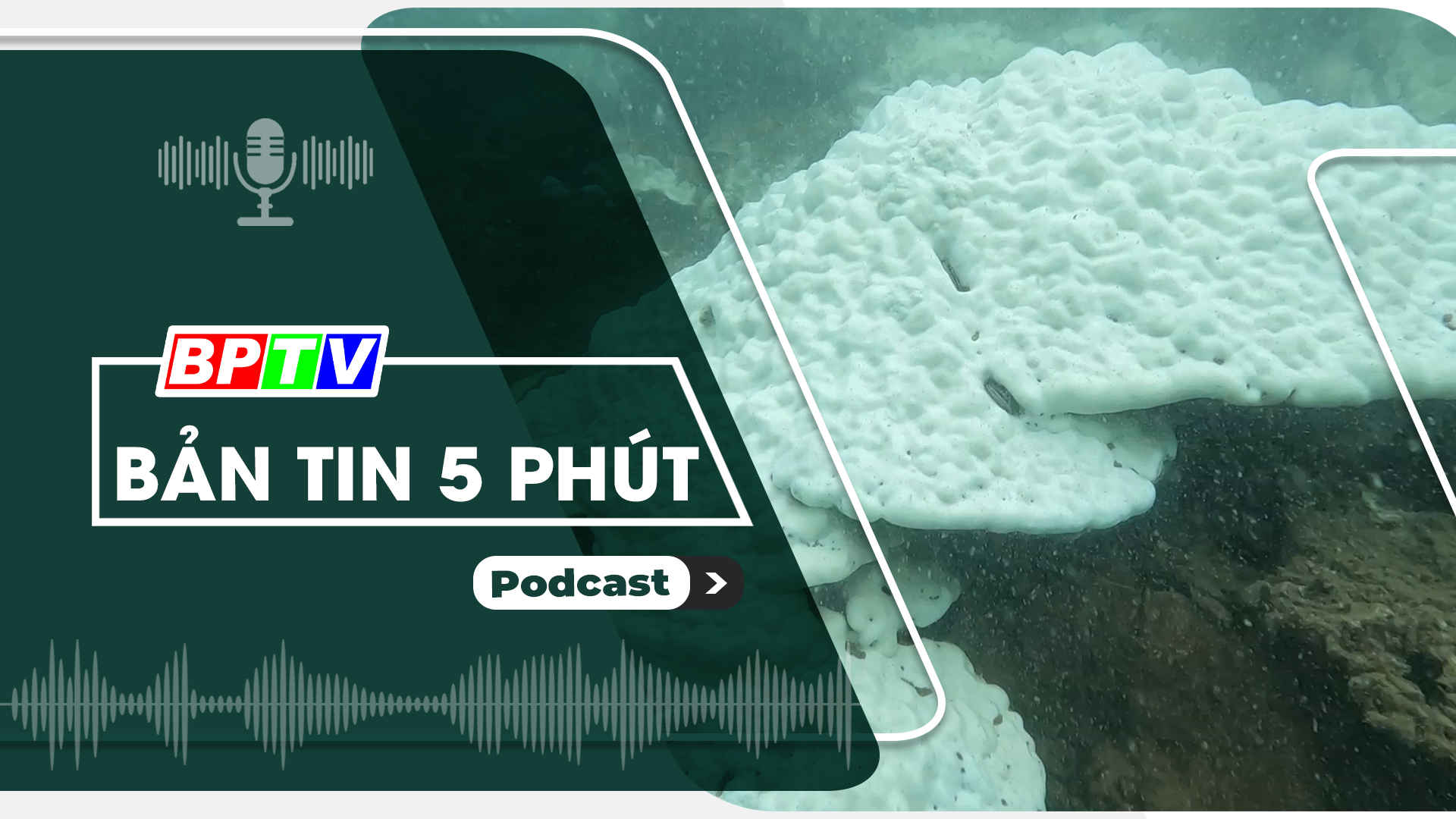 5 phút trưa nay 11-6-2024