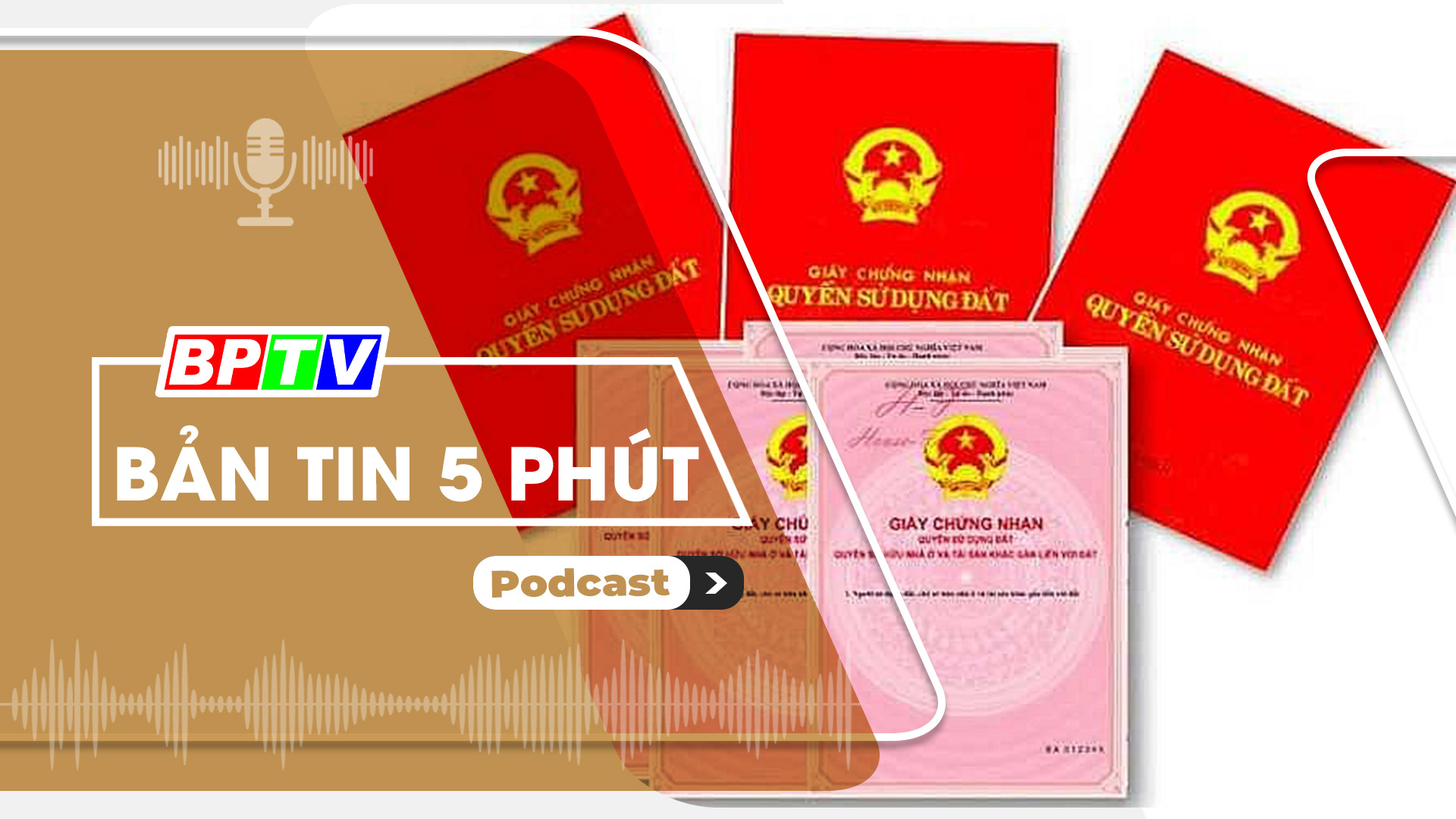 5 phút trưa nay 11-8-2024