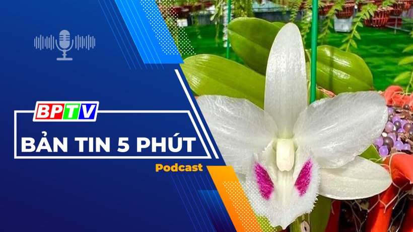 5 phút trưa nay 12-3-2024