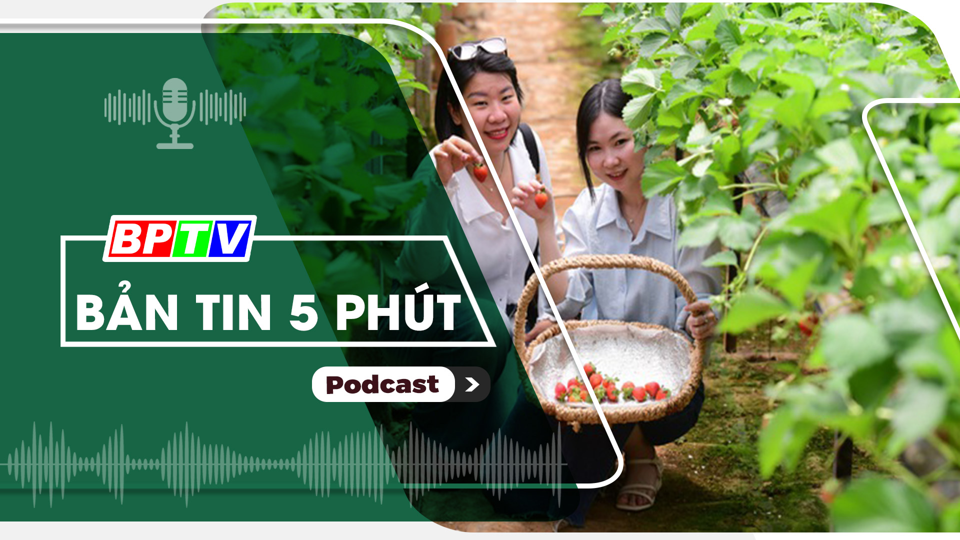 5 phút trưa nay 15-12-2024