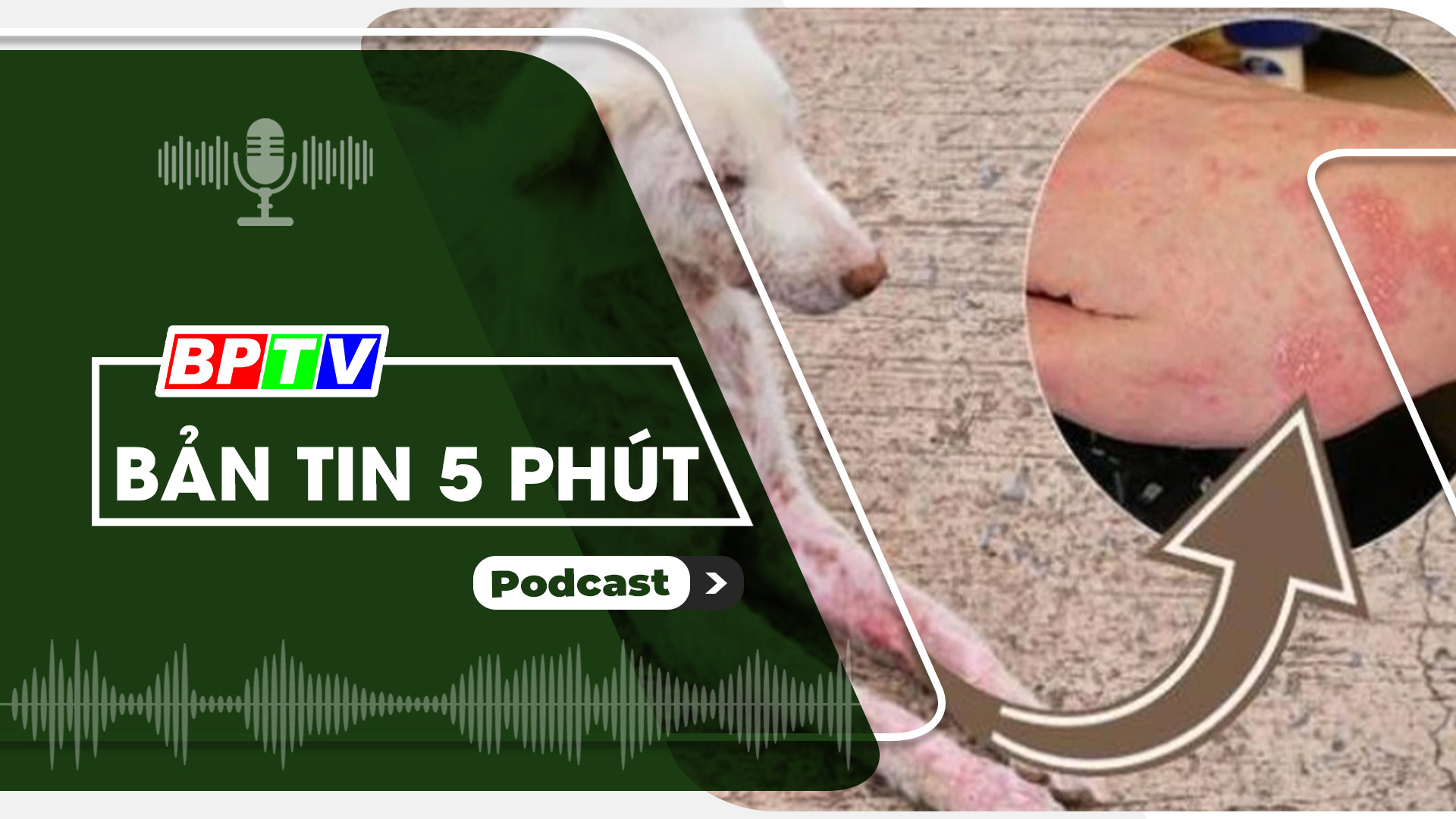 5 phút trưa nay 15-5-2024
