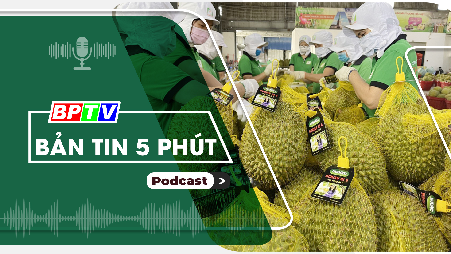 5 phút trưa nay 16-12-2024