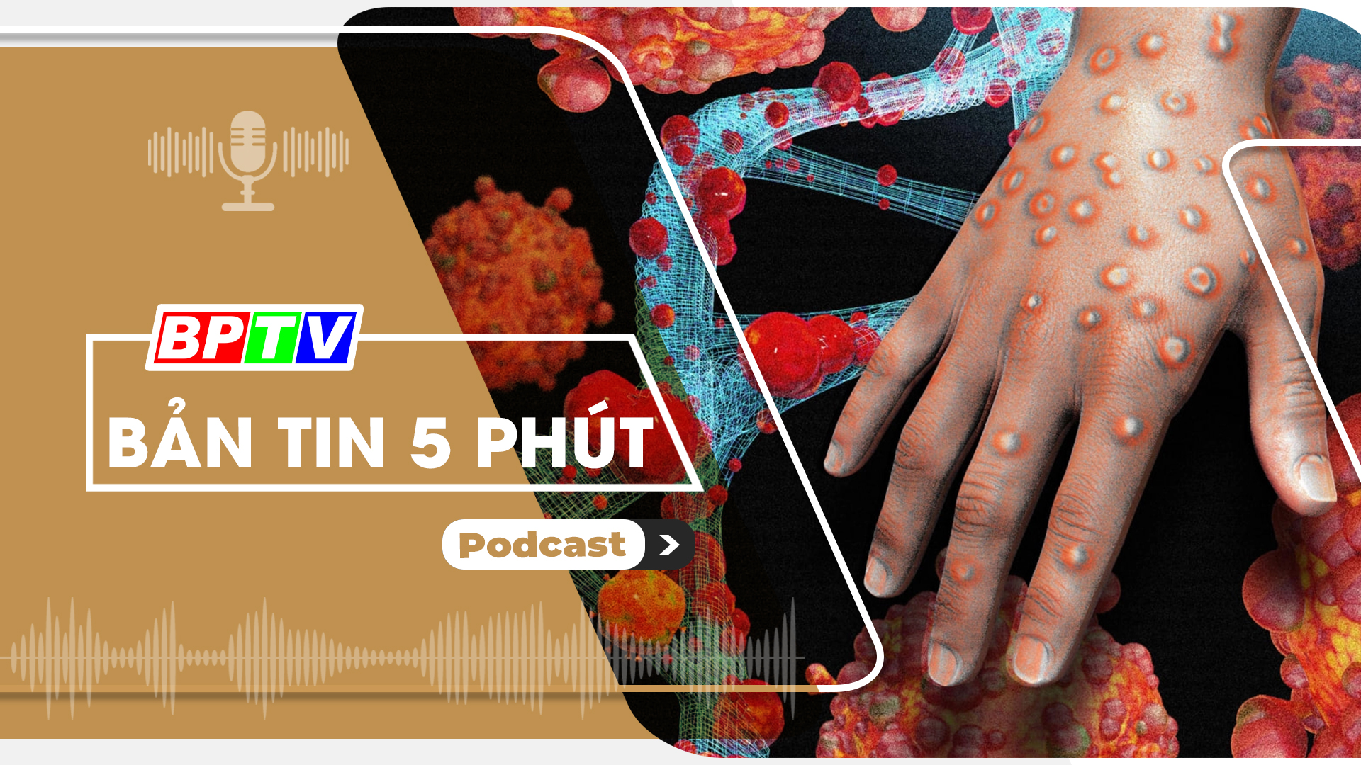 5 phút trưa nay 20-8-2024
