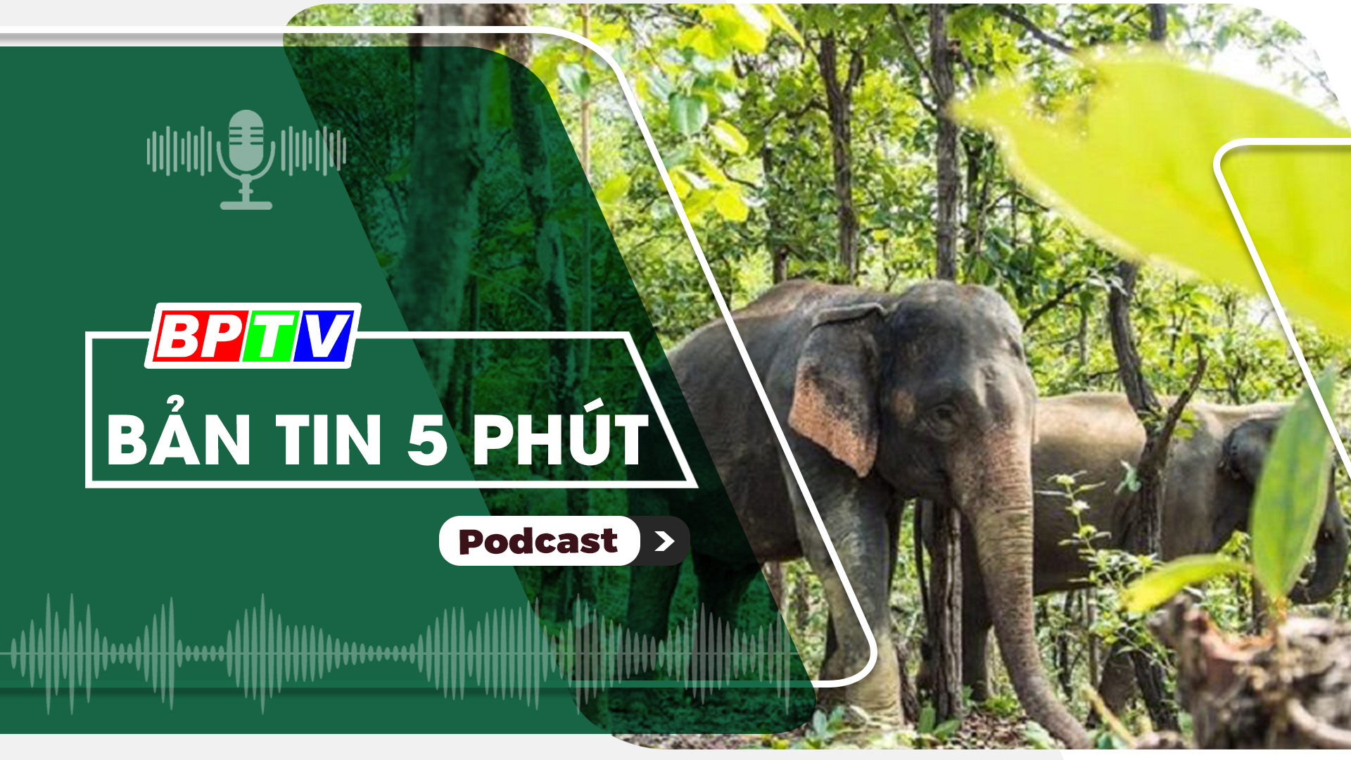 5 phút trưa nay 21-11-2024