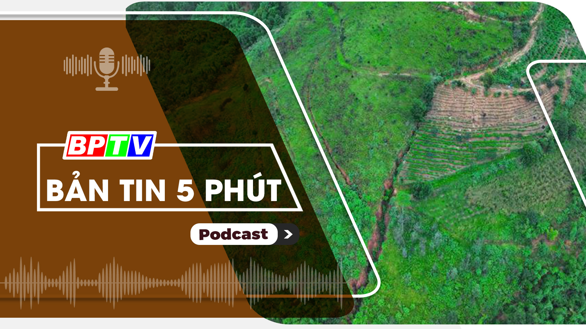 5 phút trưa nay 24-10-2024 5 phút trưa nay 24-10-2024