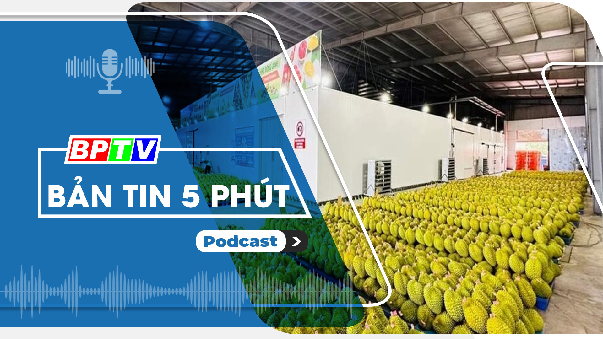 5 phút trưa nay 24-7-2024