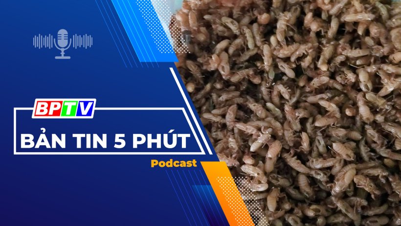 5 phút trưa nay 25-4-2024