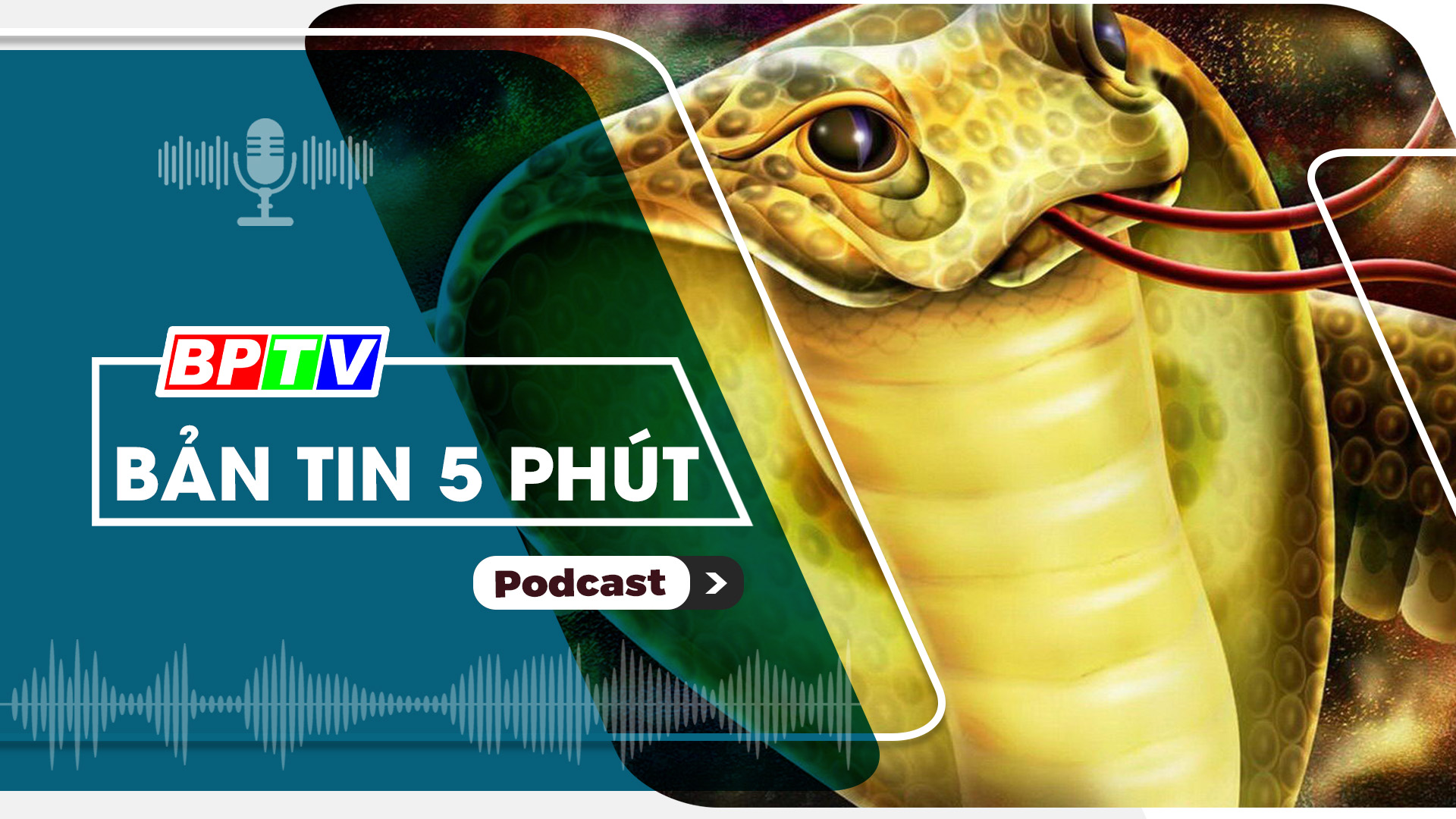 5 phút trưa nay 30-1-2025