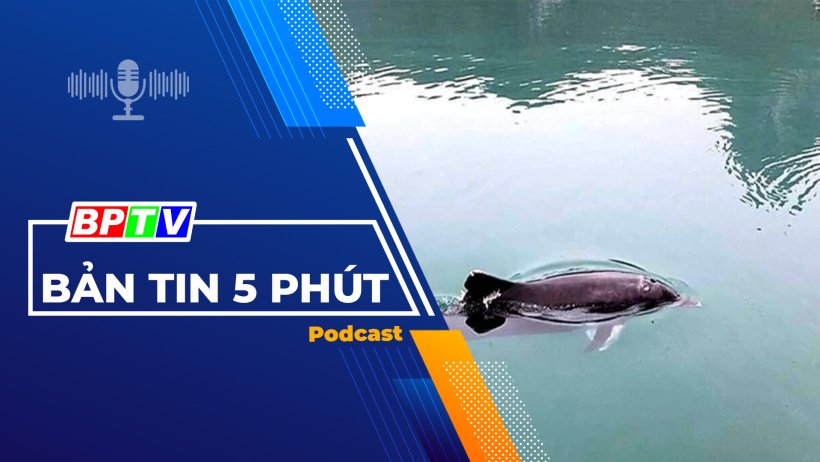 5 phút trưa nay 30-3-2024