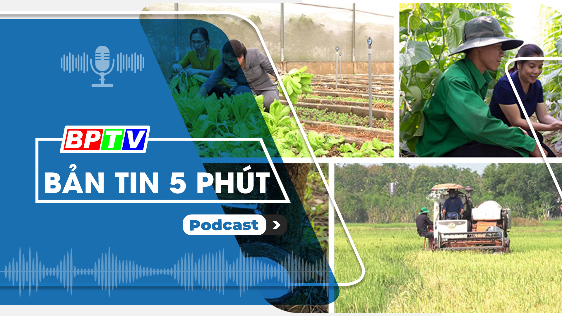 5 phút trưa nay 31-7-2024