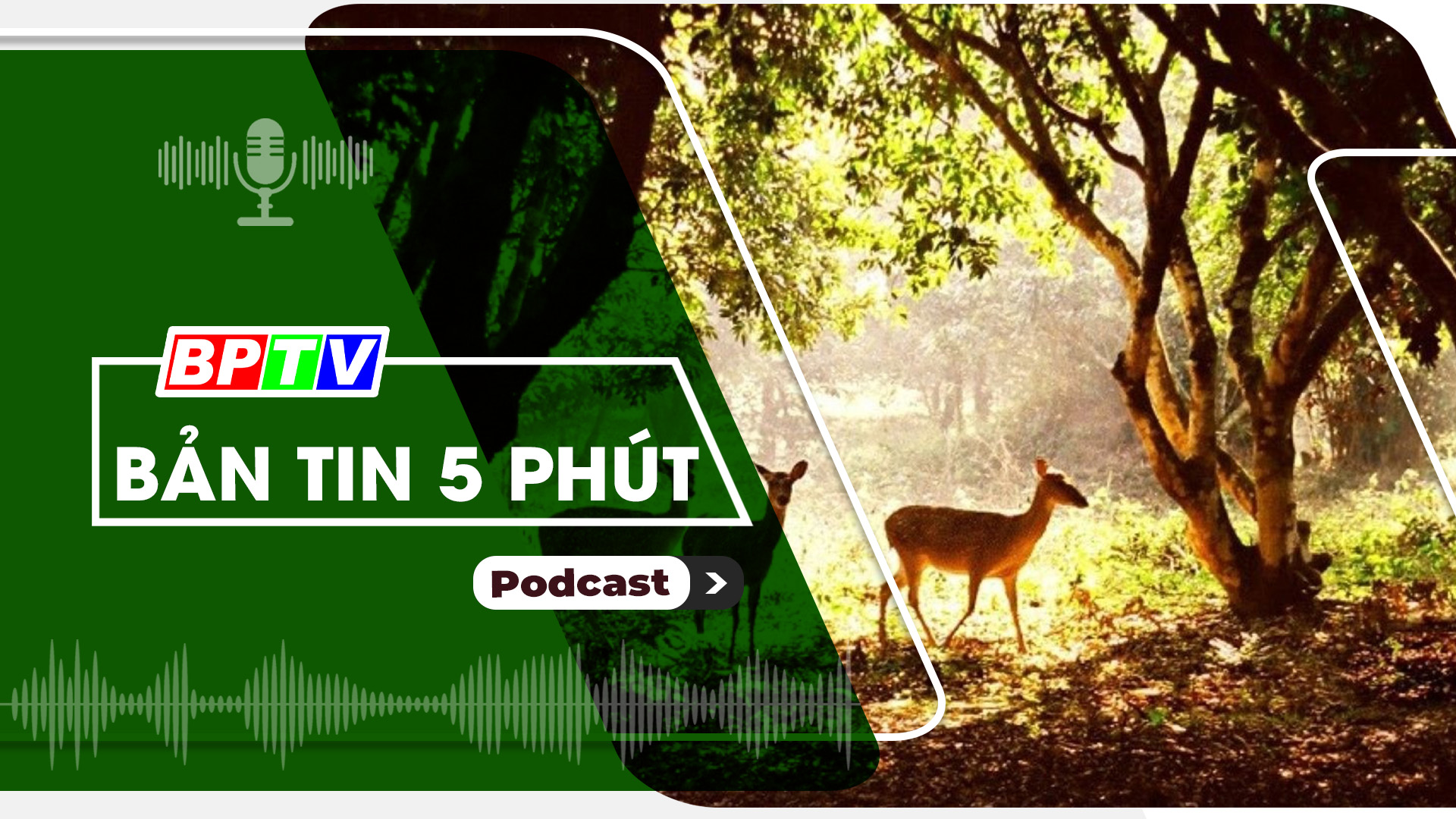5 phút trưa nay 4-9-2024 5 phút trưa nay 4-9-2024