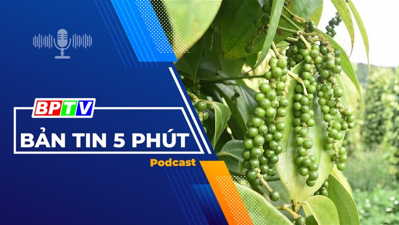5 phút trưa nay 5-3-2024