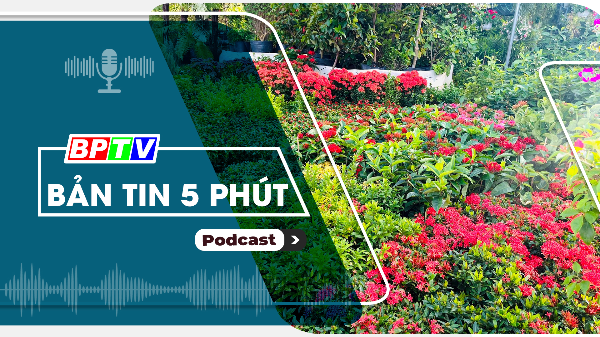 5 phút trưa nay 7-1-2025 5 phút trưa nay 7-1-2025