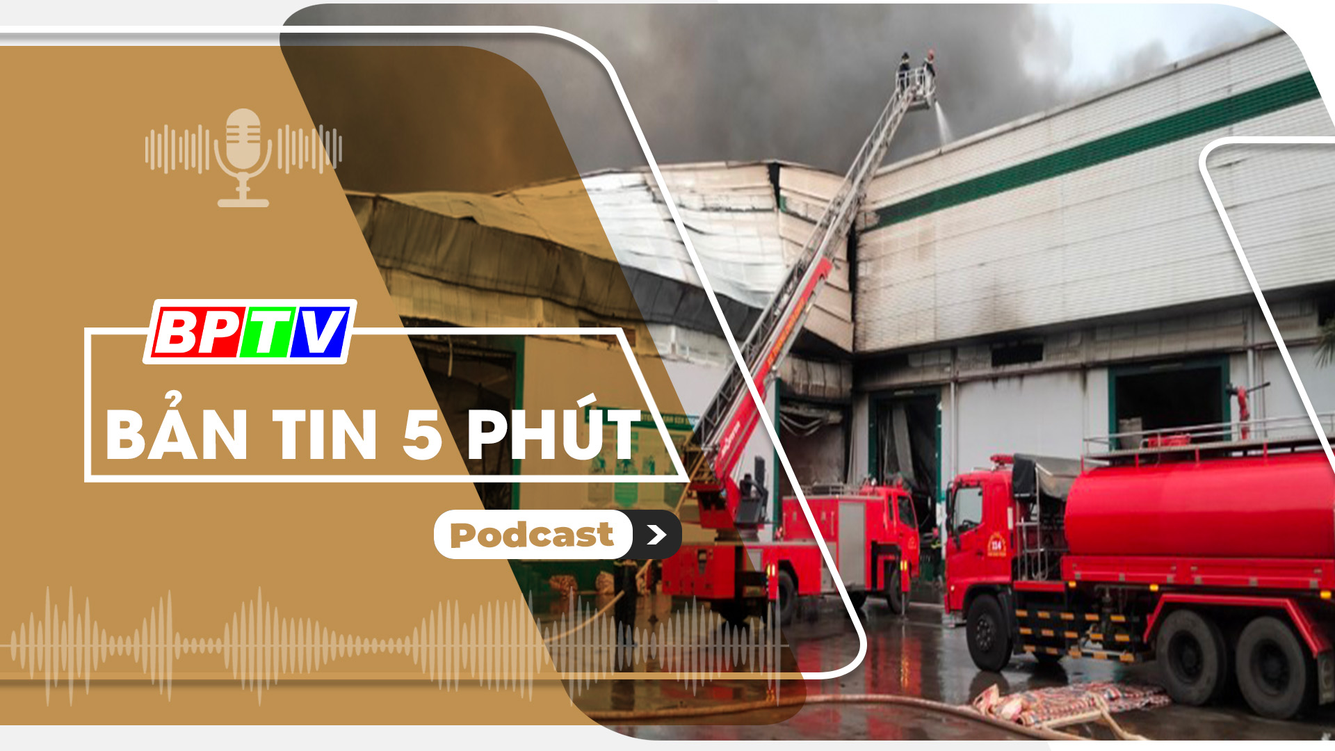 5 phút trưa nay 7-8-2024 5 phút trưa nay 7-8-2024