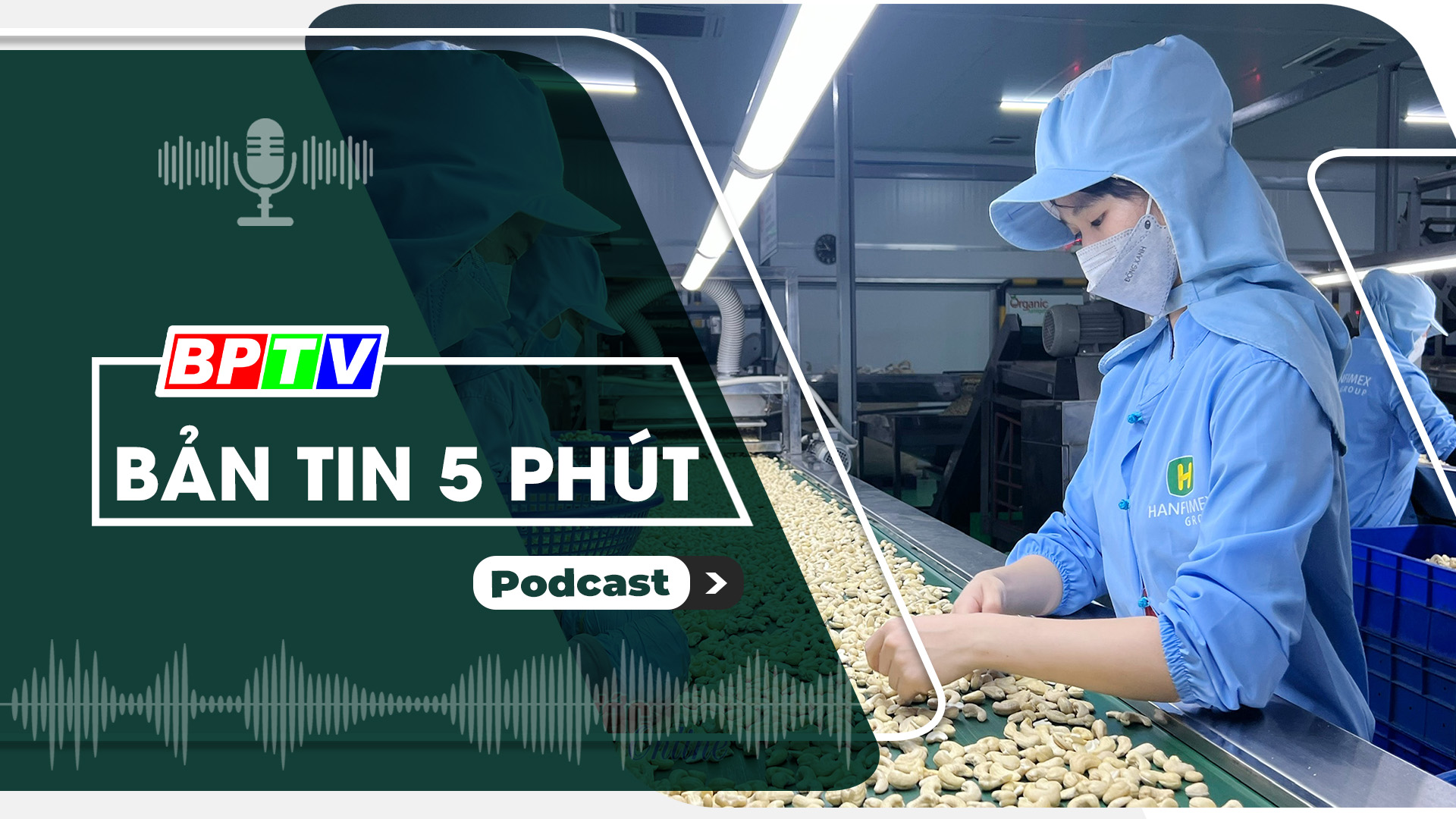5 phút trưa nay 8-6-2024 5 phút trưa nay 8-6-2024