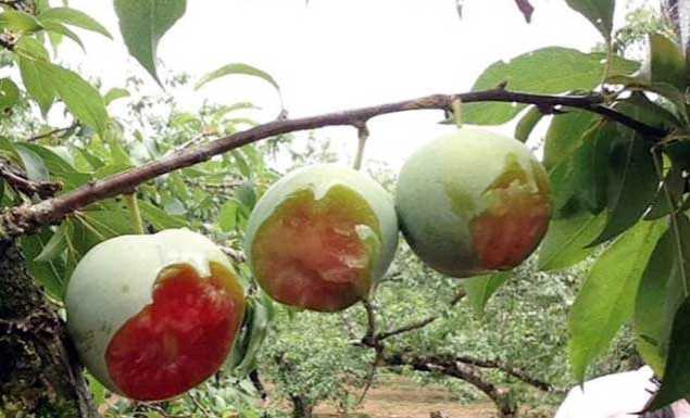 Làm khó bản thân từ sự nông nổi?