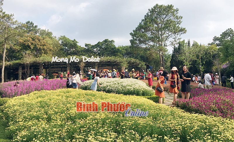 Đà Lạt, hẹn ngày trở lại