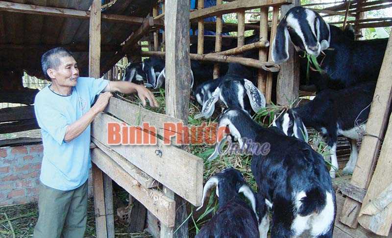 2.716 lượt hội viên nông dân tập huấn khoa học - kỹ thuật