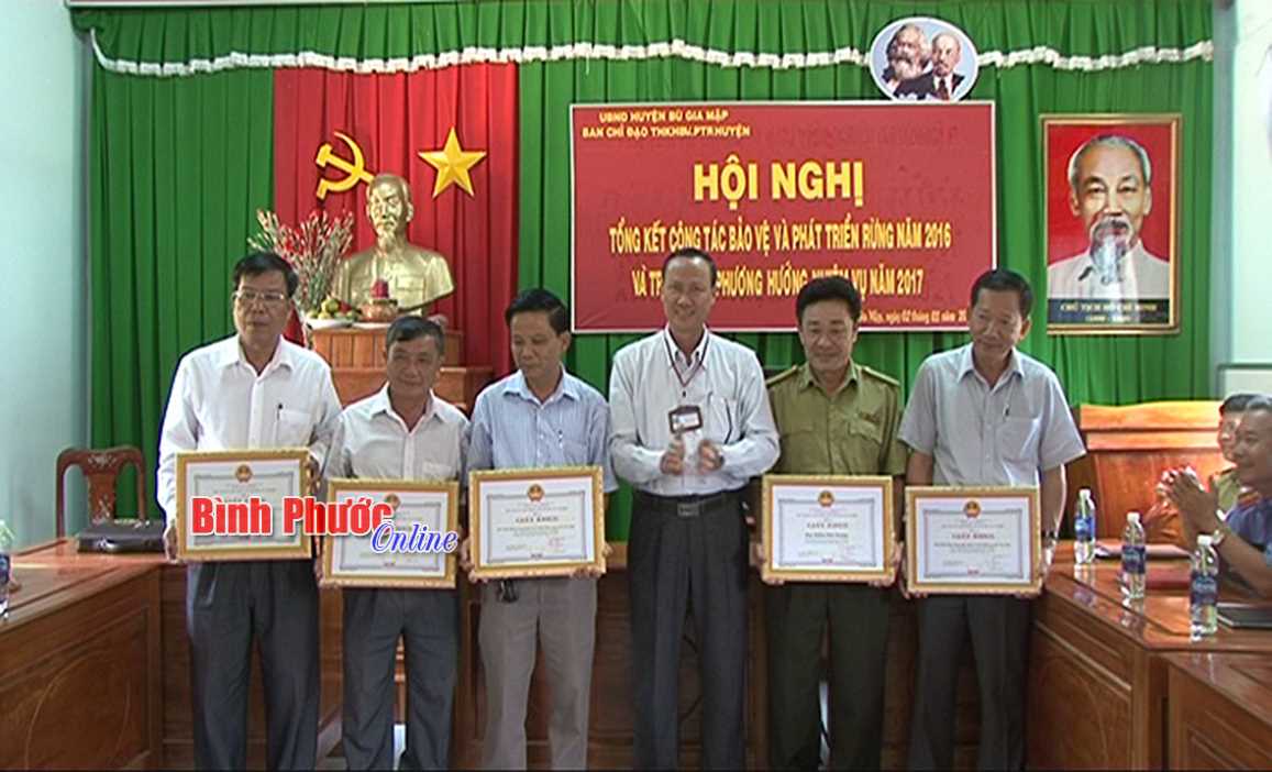 BÙ GIA MẬP: 35 vụ vi phạm lâm luật BÙ GIA MẬP: 35 vụ vi phạm lâm luật