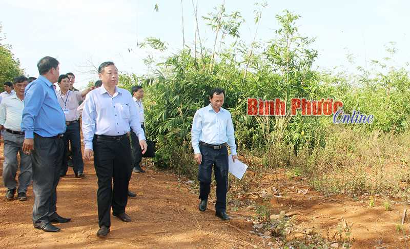 Tạm ngưng một số dự án cấp đất cho đồng bào DTTS Tạm ngưng một số dự án cấp đất cho đồng bào DTTS