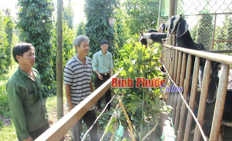 Cùng nông dân phát triển kinh tế Cùng nông dân phát triển kinh tế