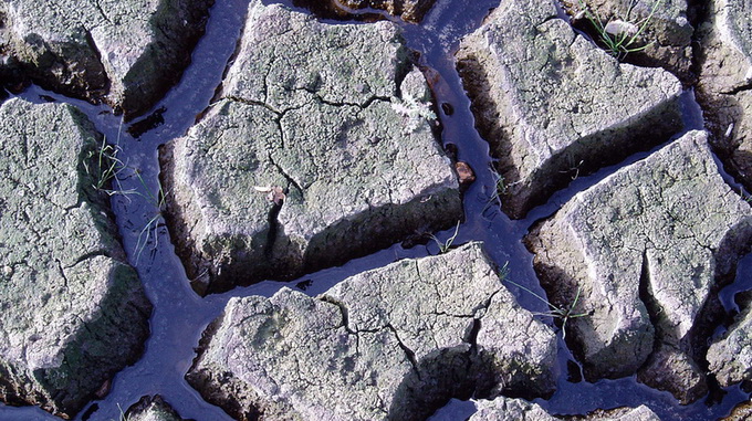 664196.jpg