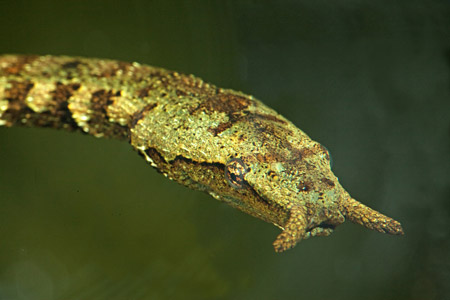 670279_01.jpg