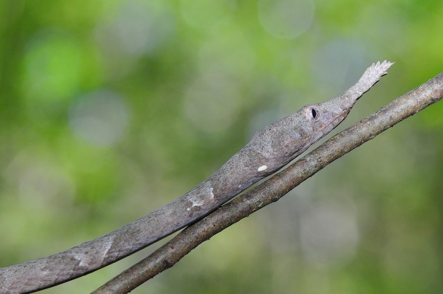 670284_01.jpg