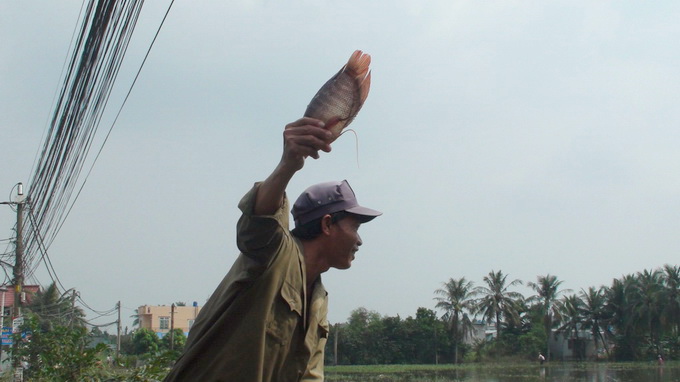 TP.HCM: đổ xô bắt cá sau đợt triều cường TP.HCM: đổ xô bắt cá sau đợt triều cường