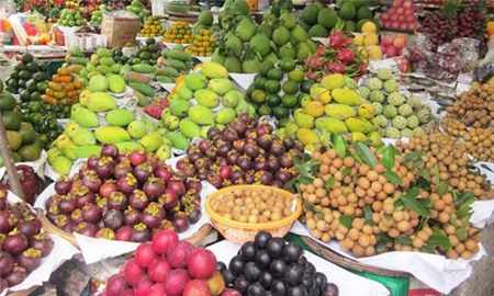 Kiểm dịch 16 lô với 764,4 tấn hàng nông sản qua cửa khẩu