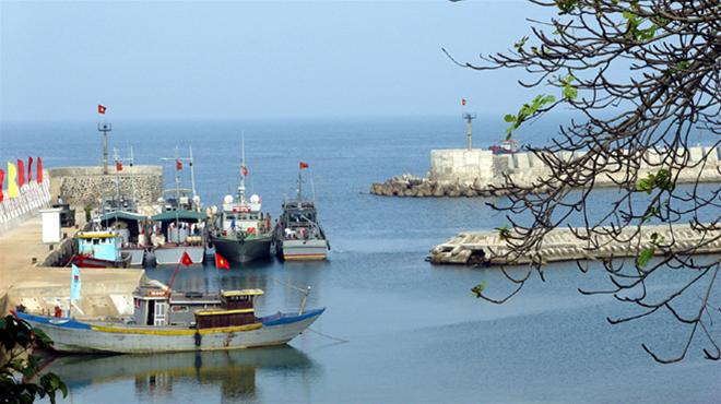 Giấc mơ xanh trên “hòn đảo chiến trận” Giấc mơ xanh trên “hòn đảo chiến trận”
