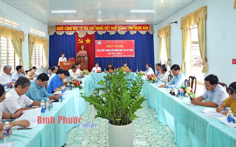6 tháng đầu năm 2023, Bình Phước thành lập mới 17 HTX 6 tháng đầu năm 2023, Bình Phước thành lập mới 17 HTX