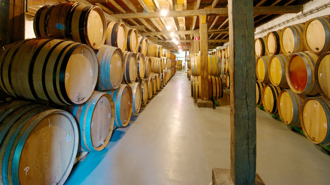 7-cantillon-brewery-expedia-1542277762680x020112018081806.jpg